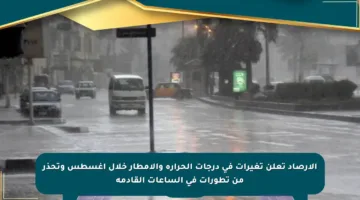 الأرصاد تعلن تغيرات في درجات الحرارة والأمطار خلال أغسطس وتحذر من تطورات في الساعات القادمة